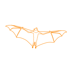 Animals Bats Giant Golden Crowned Flying Fox Outline Icon Svg Set, Free Vectors File